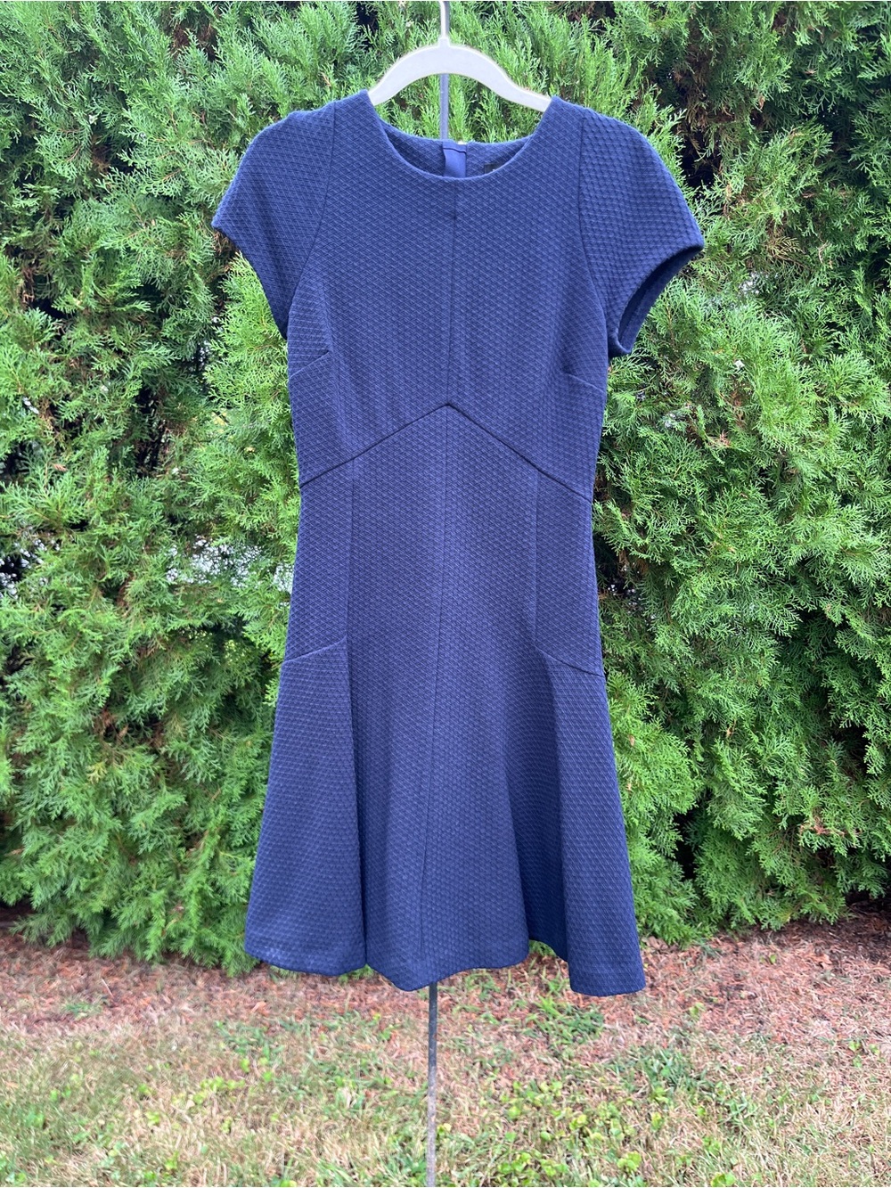 Banana Republic Navy Textured Fit-and-Flare Dress